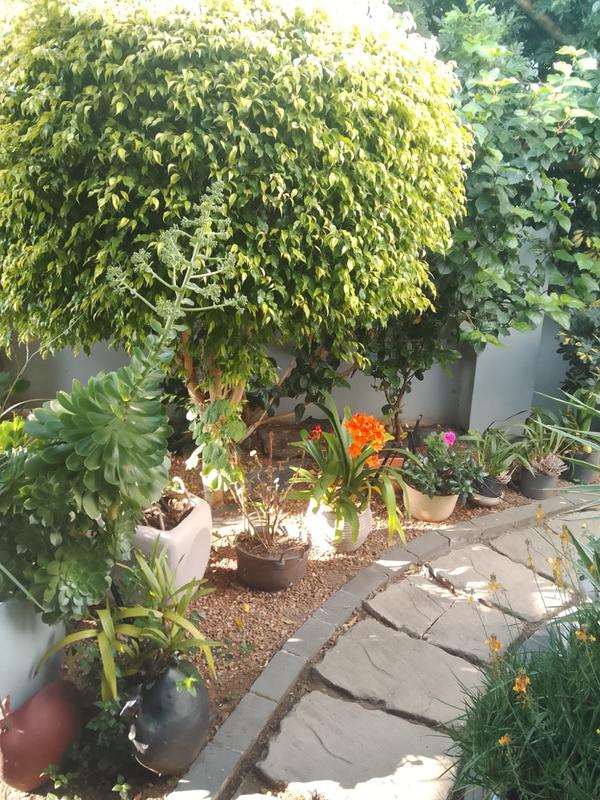 3 Bedroom Property for Sale in Heritage Park Western Cape